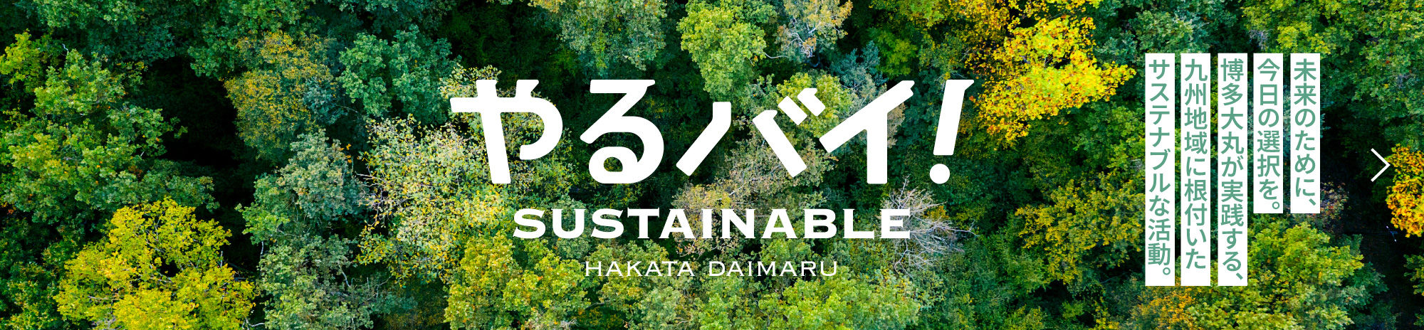 やるばい!SUSTAINABLE